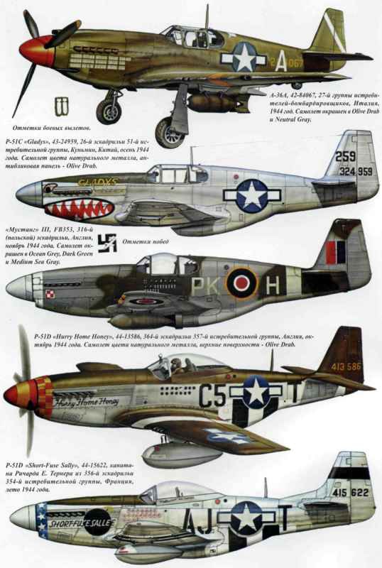 P-51 Mustang - i_013.jpg