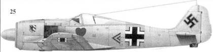 Асы люфтваффе пилоты Fw 190 на Восточном фронте - pic_50.jpg