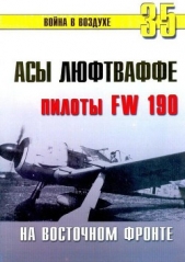Асы люфтваффе пилоты Fw 190 на Восточном фронте - автор Иванов С. В. 