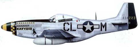 «Мустанги» над Рейхом - pic_112.jpg