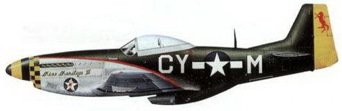 «Мустанги» над Рейхом - pic_113.jpg