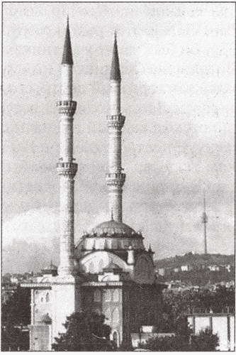 Стамбул. История. Легенды. Предания - i_055.jpg