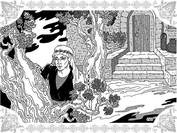 Али-Баба и сорок разбойниц - _11.jpg