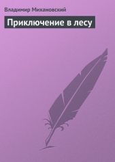 Приключение в лесу - автор Михановский Владимир Наумович 