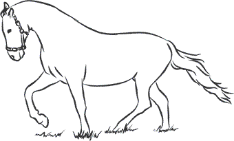 1111 удивительных фактов, которых вы не знали - i_002.png