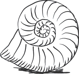 1111 удивительных фактов, которых вы не знали - i_009.png