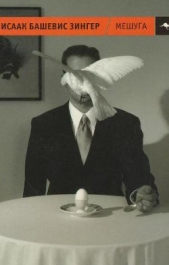 Мешуга - автор Башевис-Зингер Исаак 