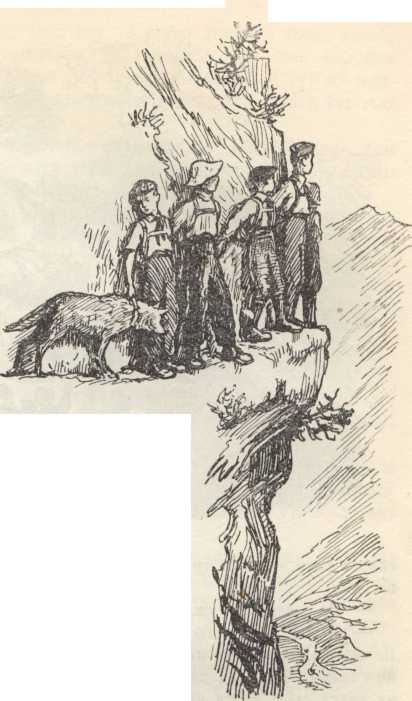 Мужество - image3.jpg