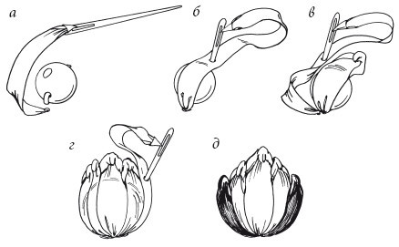 Вышивка шелковыми лентами - i_025.jpg