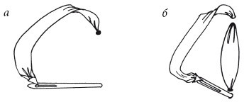 Вышивка шелковыми лентами - i_028.jpg