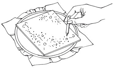 Вышивка шелковыми лентами - i_046.jpg