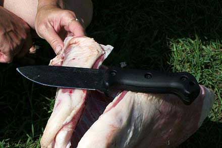 HOЖNEWS #1 - nozh01_018.jpg