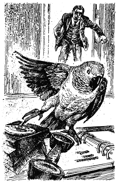 Гарри и попугай - i_010.png