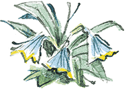 Леди Дейзи - i_008.png