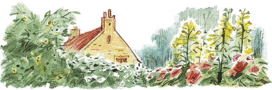 Леди Дейзи - i_020.png