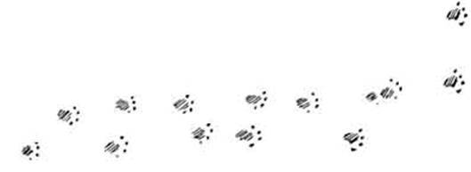 Леди Кошка - pic_19.jpg