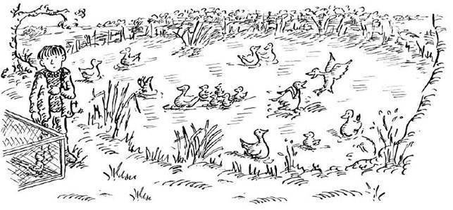 Чудной Фрэнк - i_005.jpg