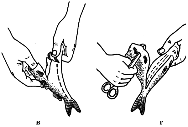 Как сохранить и приготовить рыбу на водоеме и дома - i_011.png