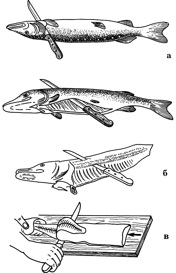 Как сохранить и приготовить рыбу на водоеме и дома - i_017.png