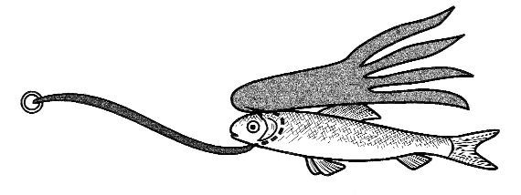 Ловля рыбы со льда - i_029.jpg