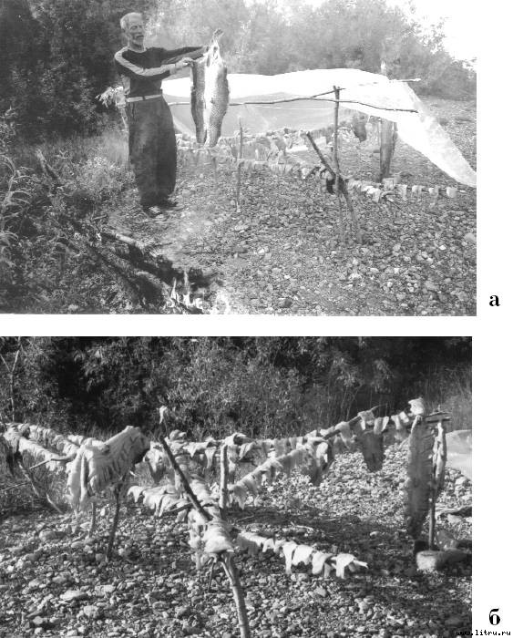 Правильное копчение и вяление рыбы - pic_24.jpg