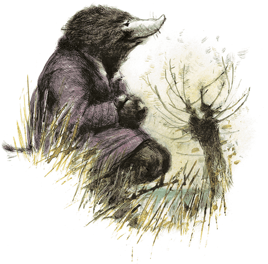 Ветер в ивах - i_005.png