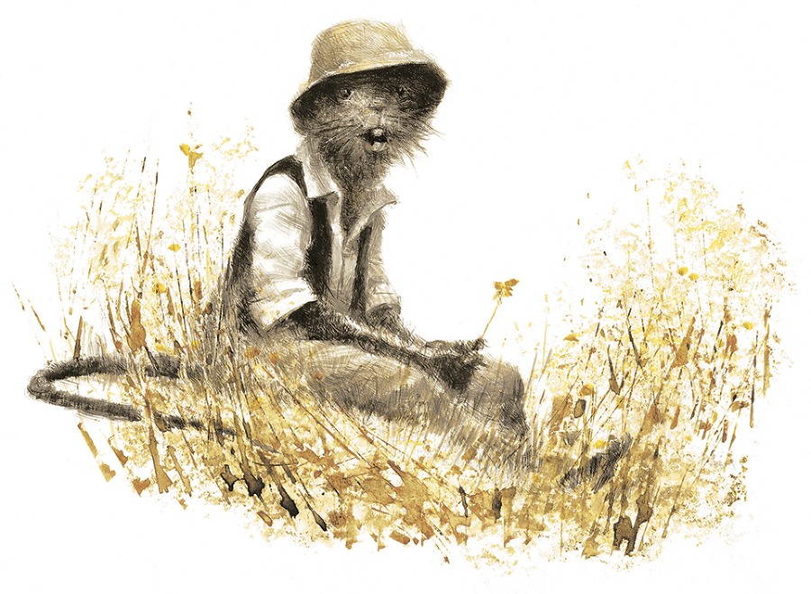 Ветер в ивах - i_016.png