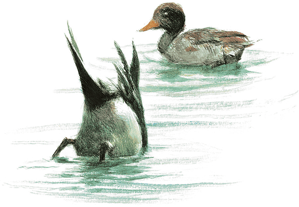 Ветер в ивах - i_017.png