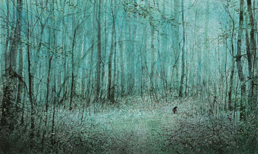 Ветер в ивах - i_026.jpg