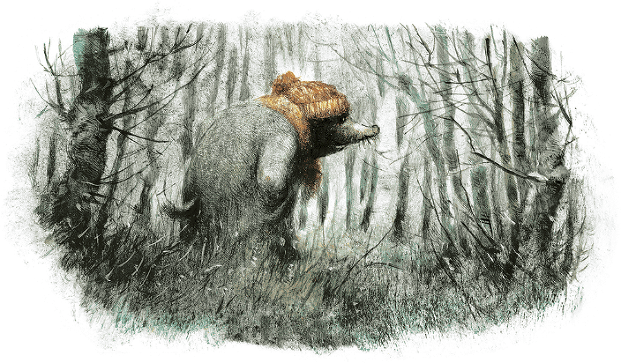 Ветер в ивах - i_028.png