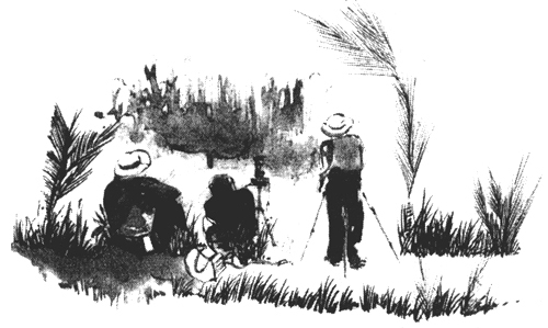 Острова пряностей - i_023.jpg