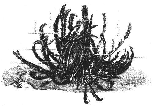 По пути Синдбада - i_015.jpg