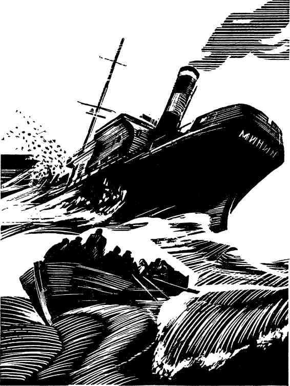 Бухта командора - img_3.jpeg