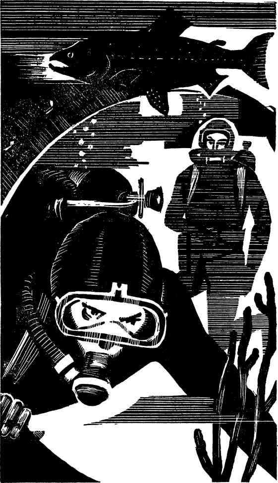 Бухта командора - img_5.jpeg