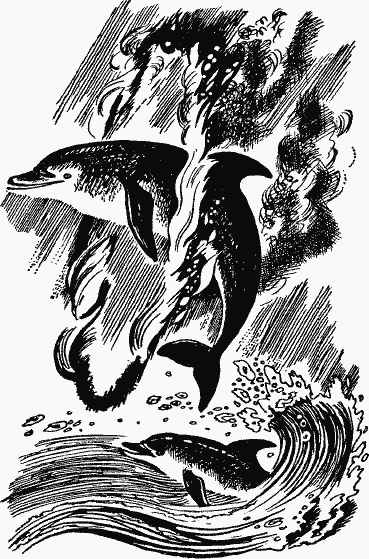 В гостях у крокодилов - image5.png