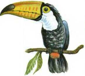 История корабля - i_067.jpg