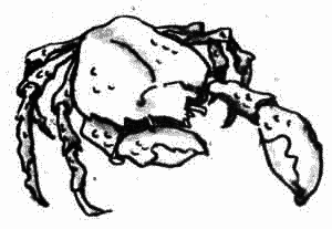 Много разных кораблей - SachPr_4.png