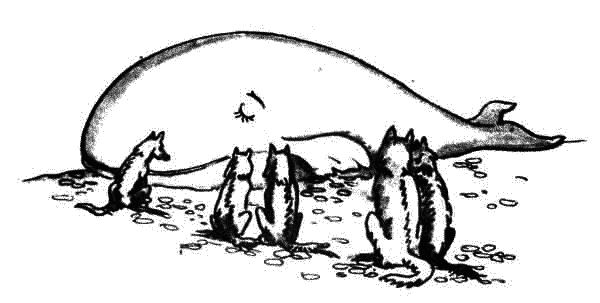 Много разных кораблей - SachPr_5.png