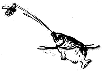 Много разных кораблей - SachPr_6.png