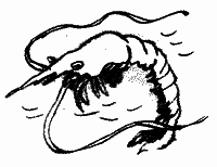 Много разных кораблей - SachPr_8.png