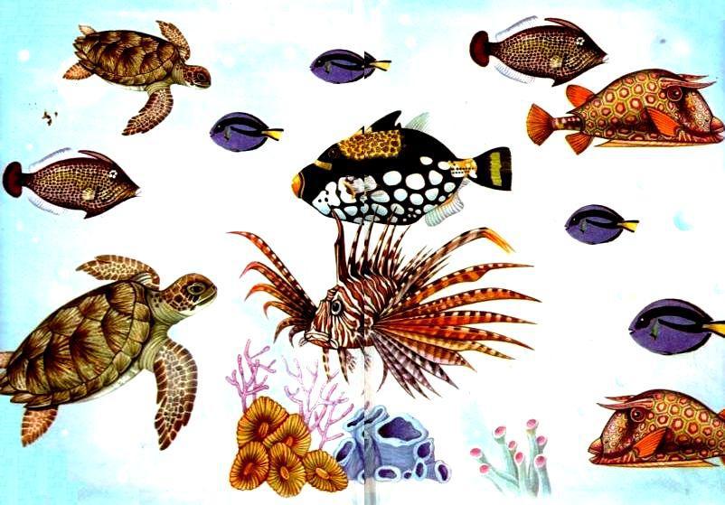 Морская азбука - pic_1.jpg