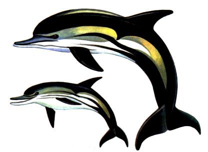 Морская азбука - pic_14.jpg