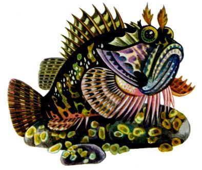 Морская азбука - pic_17.jpg