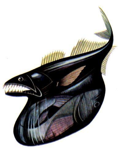 Морская азбука - pic_20.jpg