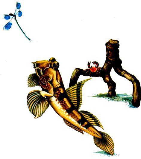 Морская азбука - pic_25.jpg