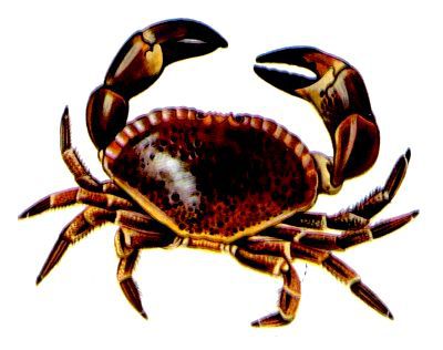 Морская азбука - pic_28.jpg