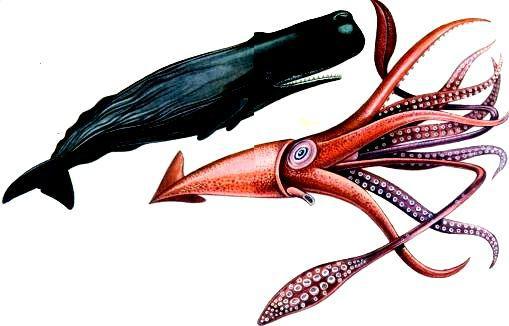 Морская азбука - pic_29.jpg