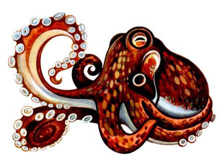 Морская азбука - pic_40.jpg