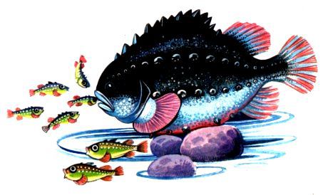 Морская азбука - pic_43.jpg