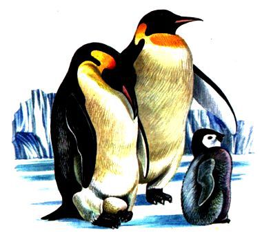 Морская азбука - pic_44.jpg